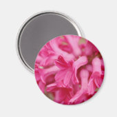 Hyacinth Pink Magnet (Vorderseite/Rückseite)