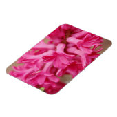 Hyacinth Pink Magnet (Linke Seite)