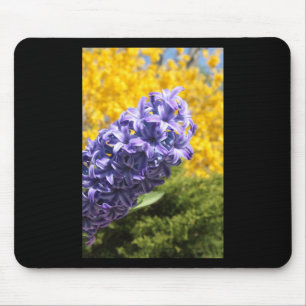Hyacinth und Forsythia Mousepad