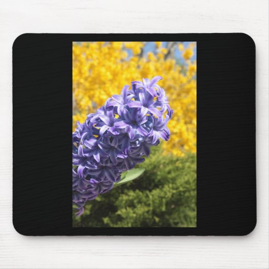 Hyacinth und Forsythia Mousepad (Vorne)