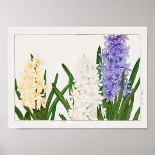 Hyacinth von Tanigami Konan Poster