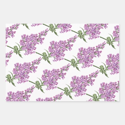 Hyacinth Wrapping Paper Sheets Geschenkpapier Set (Vorderseite 3)
