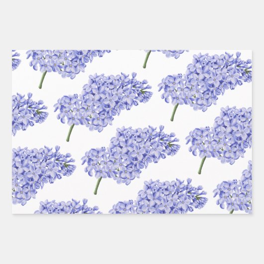 Hyacinth Wrapping Paper Sheets Geschenkpapier Set (Vorderseite 2)