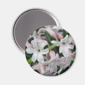 Hyacinths Magnet (Vorderseite/Rückseite)