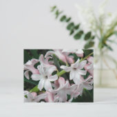 Hyacinths Postcard Postkarte (Stehend Vorderseite)