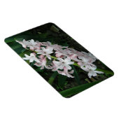 Hyacinths Premium Magnet (Rechte Seite)