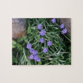 Hyakinth, blaue lila Blume, blumenreich Puzzle (Horizontal)