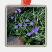 Hyakinth, blaue lila Blume, blumenreich Silbernes Ornament (Vorne)