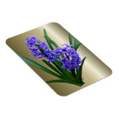 Hyakinth-Blume in Vollblut Magnet (Rechte Seite)