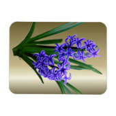 Hyakinth-Blume in Vollblut Magnet (Horizontal)