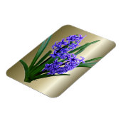 Hyakinth-Blume in Vollblut Magnet (Linke Seite)