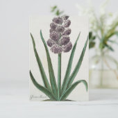 Hyakinth (Gloria Mundi) Einladung (Stehend Vorderseite)