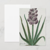 Hyakinth (Gloria Mundi) Einladung (Vorne/Hinten)