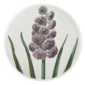 Hyakinth Keramikknauf (Vorderseite)