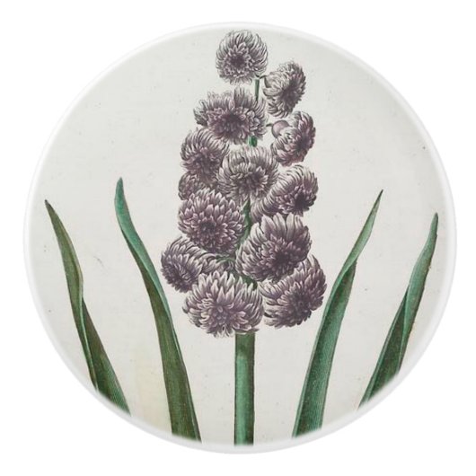 Hyakinth Keramikknauf (Vorderseite)