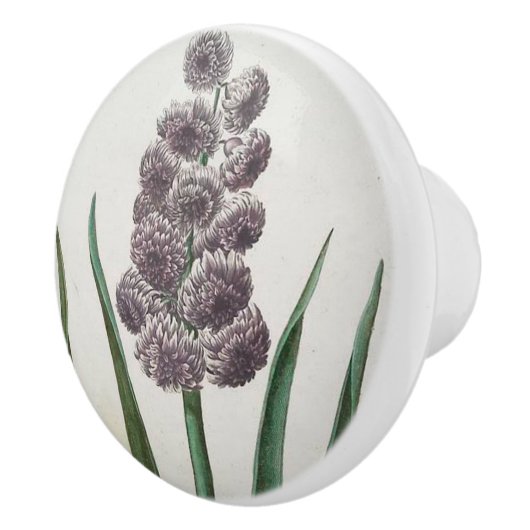 Hyakinth Keramikknauf (Rechts)