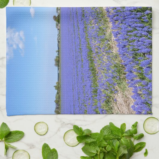Hyakinthenfeld Geschirrtuch (Gefaltet)