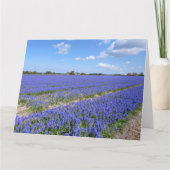 Hyakinthenfeld Karte (Vorderseite)