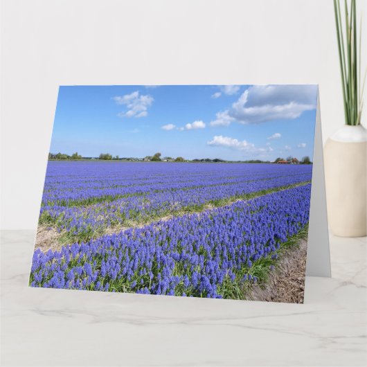 Hyakinthenfeld Karte (Vorderseite)