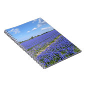 Hyakinthenfeld Notizblock (Rechte Seite)