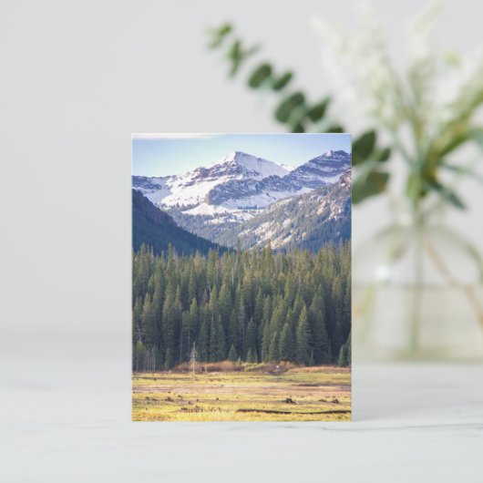 Hyalite Peaks Bozeman, Montana Postkarte (Stehend Vorderseite)