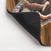 Hyalophora Cecropiamotte Mousepad (Ecke)