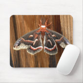 Hyalophora Cecropiamotte Mousepad (Mit Mouse)