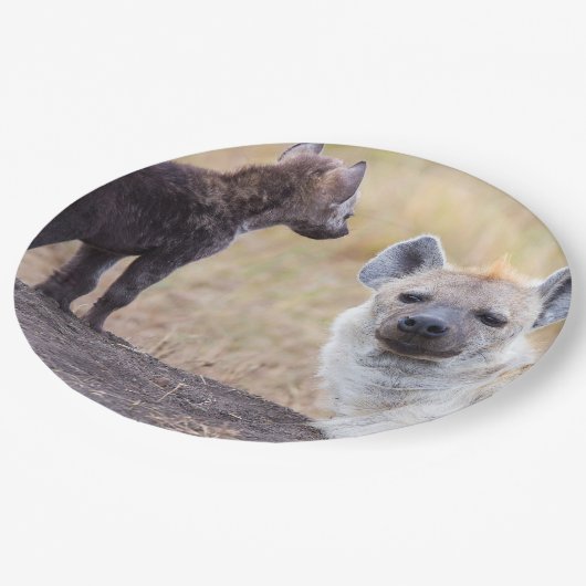 Hyäne mit Jungen eine Pappteller (Schrägansicht)