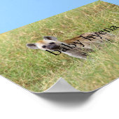 Hyäne Poster (Ecke)