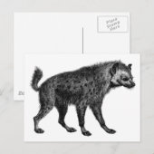 Hyäne Postkarte (Vorne/Hinten)