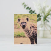 Hyäne Postkarte (Stehend Vorderseite)