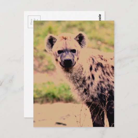 Hyäne Postkarte (Vorne/Hinten)