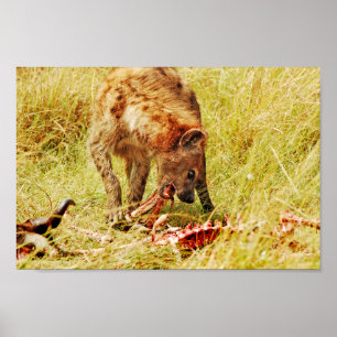 Hyänen-Kenia-Masai Mara Poster