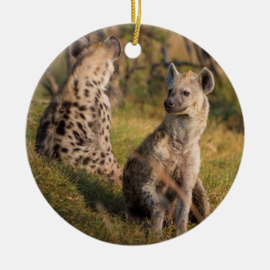 Hyänen Keramikornament (Vorne)