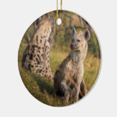 Hyänen Keramikornament (Links)