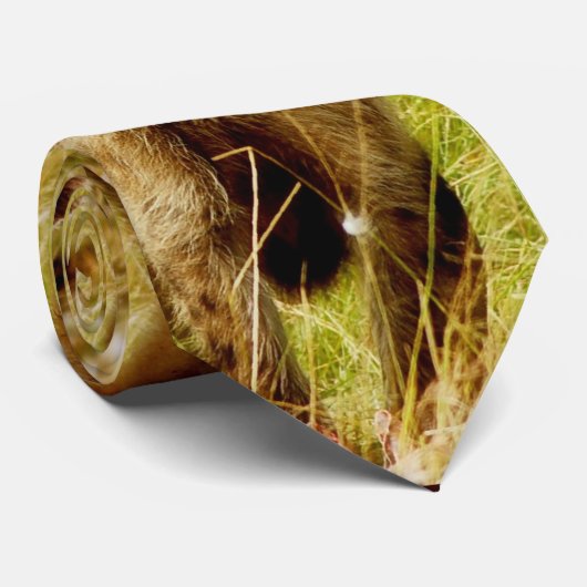 Hyänen-Krawatten Krawatte (Gerollt)