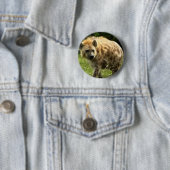 Hyänen-rundes Button (Beispiel)