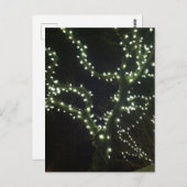 Hyannis Lights Postcard Postkarte (Vorne/Hinten)