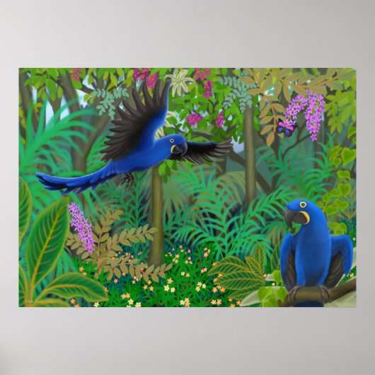 Hyazinth Macaws im Jungle-Poster Poster (Vorne)
