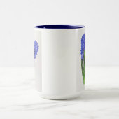 Hyazinthe Tasse (Zentrum)