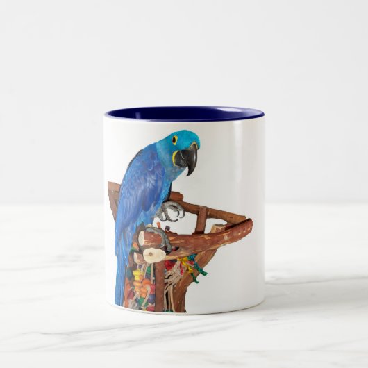 HyazintheMacaw (15oz) Zweifarbige Tasse (Mittel)
