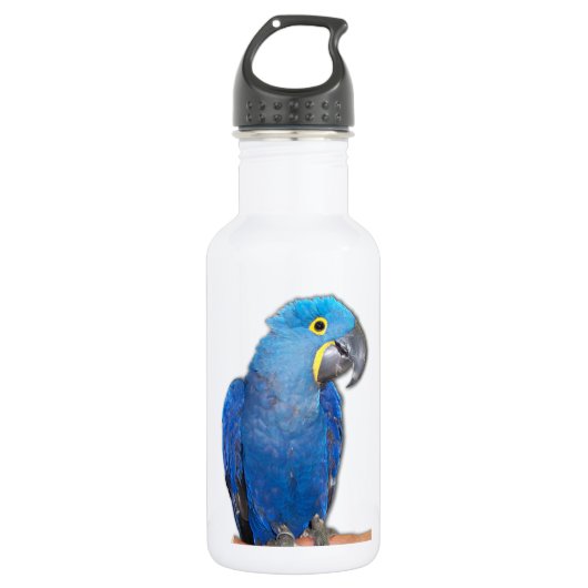 HyazintheMacaw Edelstahlflasche (Vorderseite)