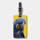 HyazintheMacaw Gepäckanhänger (Vorderseite vertikal)