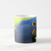 HyazintheMacaw Kaffeetasse (Mittel)