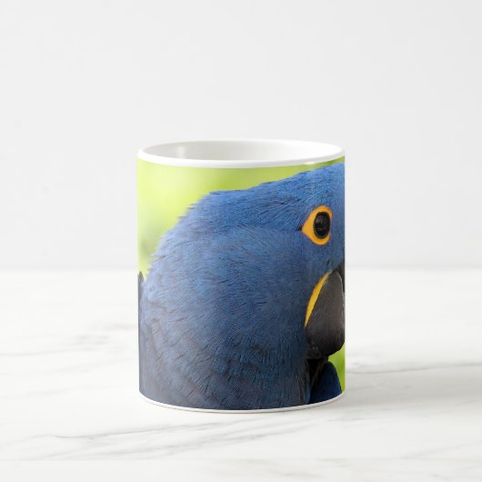 HyazintheMacaw Kaffeetasse (Mittel)