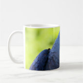HyazintheMacaw Kaffeetasse (Links)