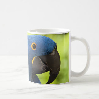 HyazintheMacaw Kaffeetasse