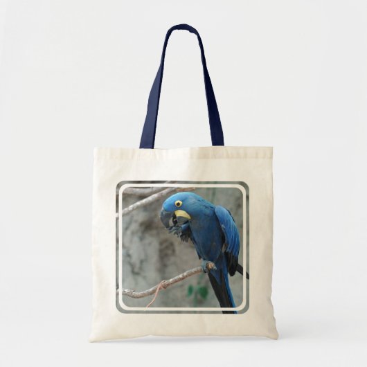 Hyazinthemacaw-kleine Taschen-Tasche Tragetasche (Vorne)