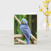 HyazintheMacaw Notecard Karte (Gelbe Blume)