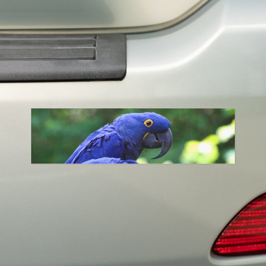 HyazintheMacaws Autoaufkleber (Auf Auto)